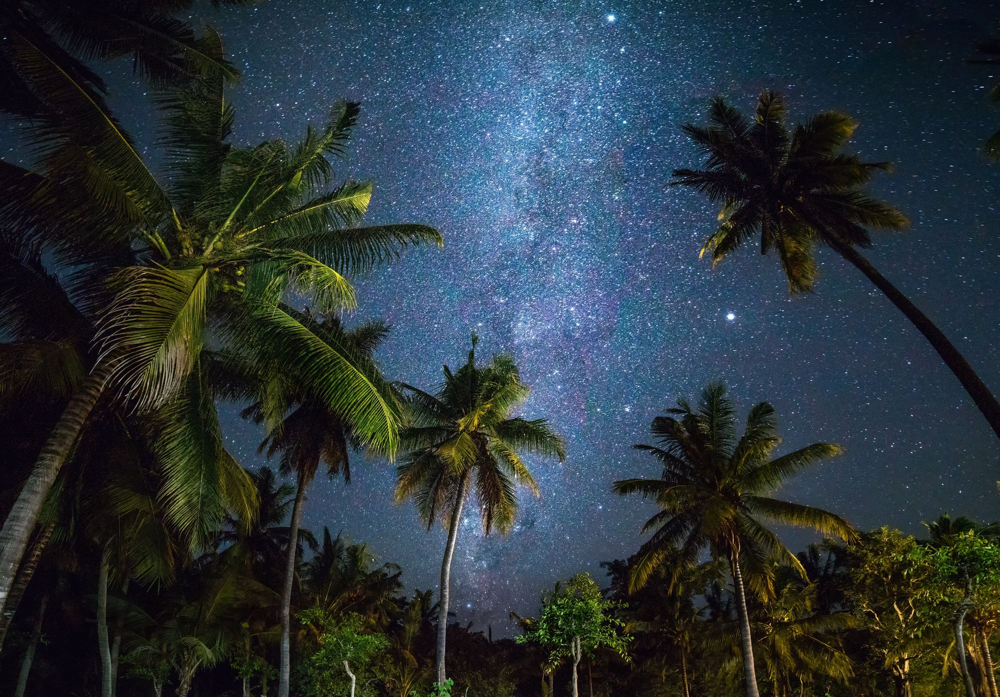 Noches en los trópicos versus noches tropicales